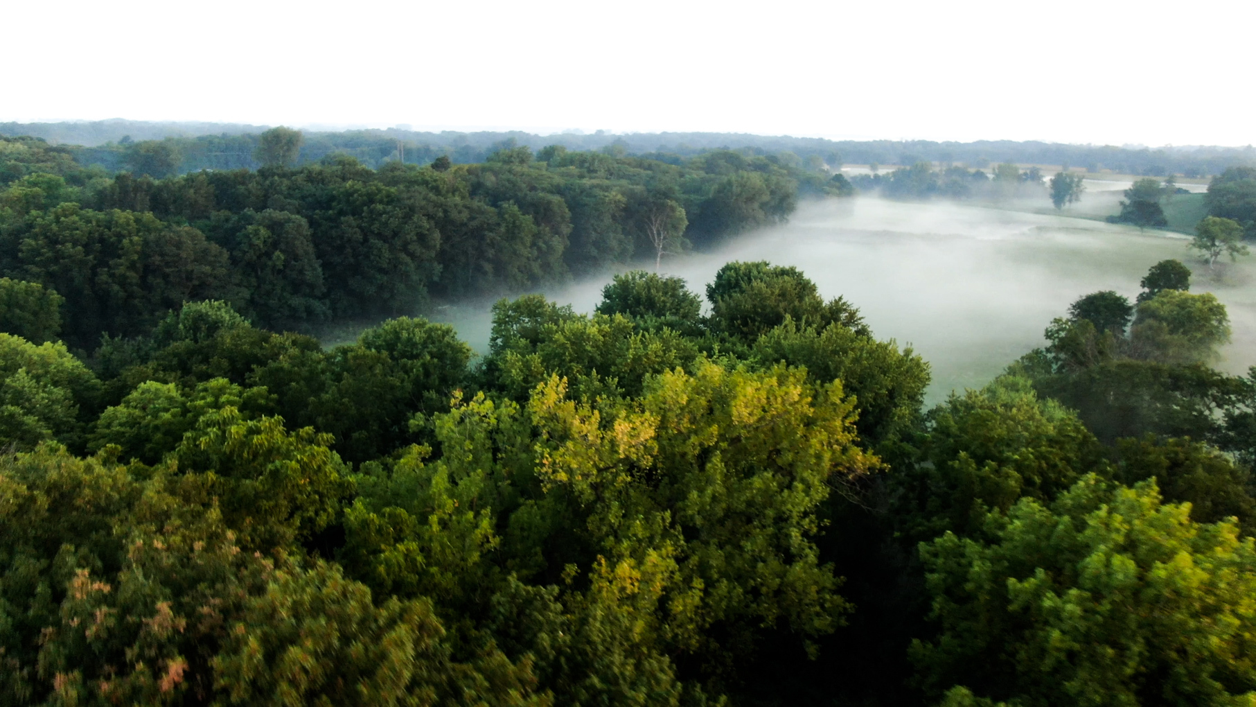 28922 Kentuckiana Road Mackinaw, IL 61755 - Photo 1 of 39 a view of a lake and green valley
