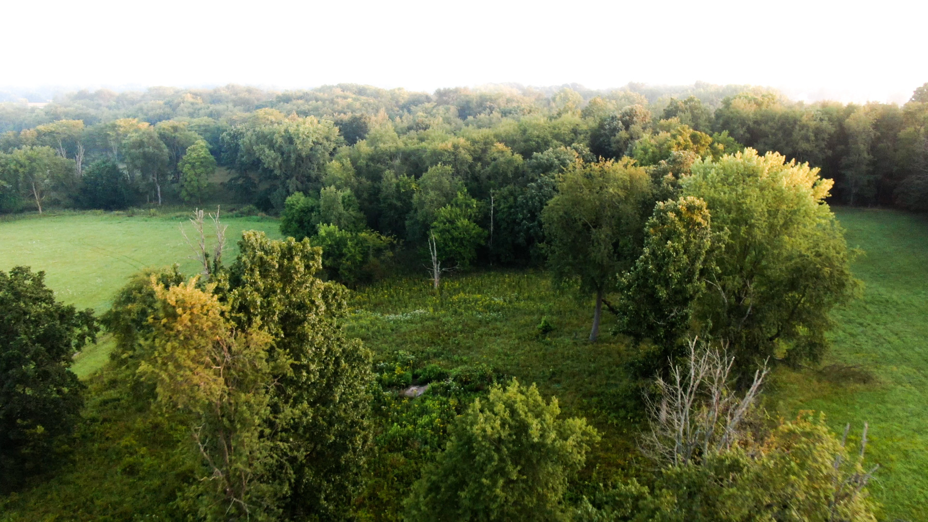 28922 Kentuckiana Road Mackinaw, IL 61755 - Photo 11 of 39 a view of a lush green forest with a mountain