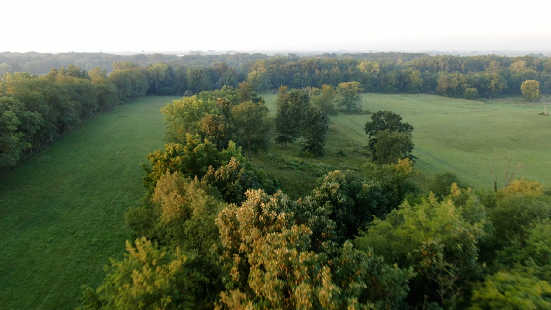 28922 Kentuckiana Road Mackinaw, IL 61755 - Photo 13 of 39 a view of a lush green forest with lots of trees