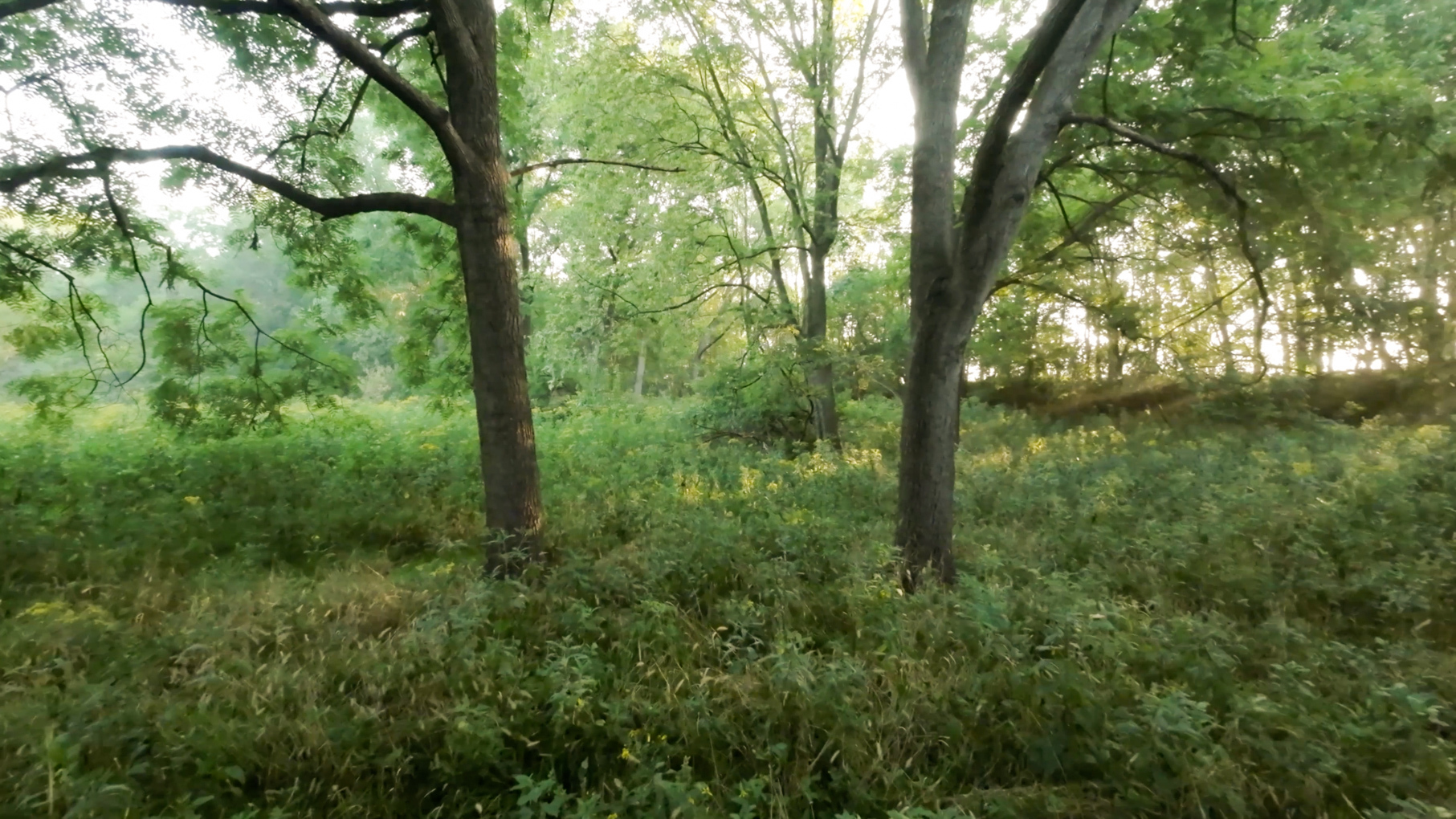 28922 Kentuckiana Road Mackinaw, IL 61755 - Photo 26 of 39