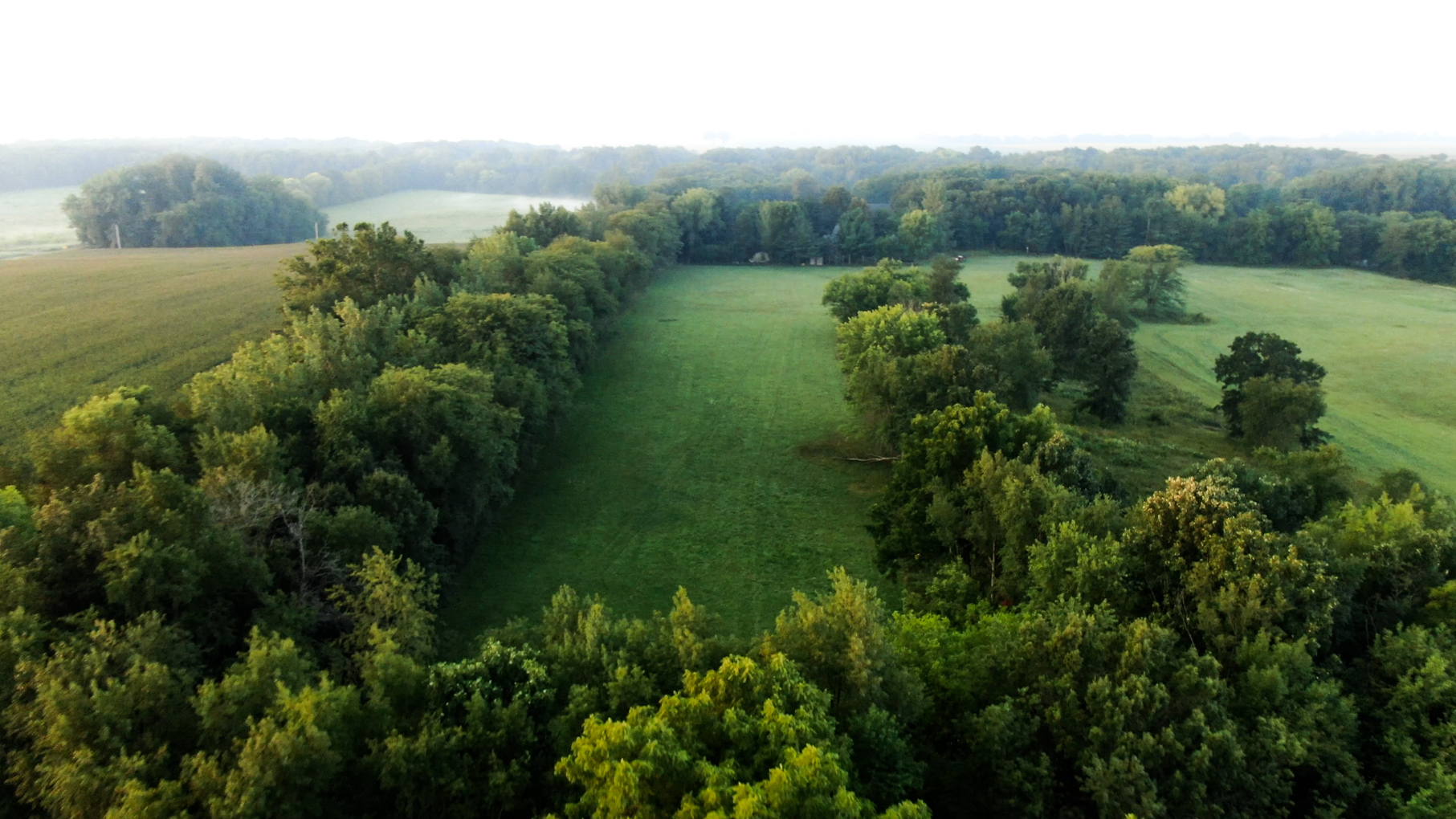 28922 Kentuckiana Road Mackinaw, IL 61755 - Photo 8 of 39 a view of a lush green forest with lots of trees