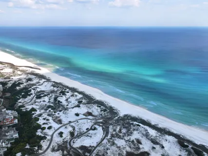 $1,800,000 | 103 Coopersmith Lane, Inlet Beach, FL 32461