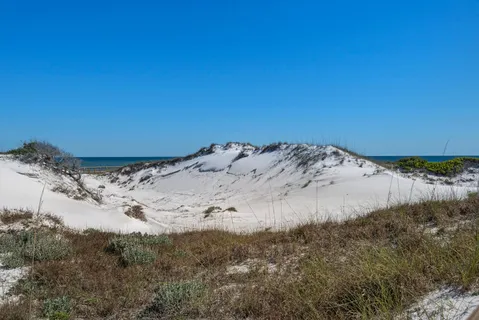 $1,800,000 | 103 Coopersmith Lane, Inlet Beach, FL 32461