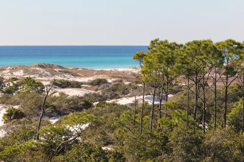 $1,800,000 | 103 Coopersmith Lane, Inlet Beach, FL 32461
