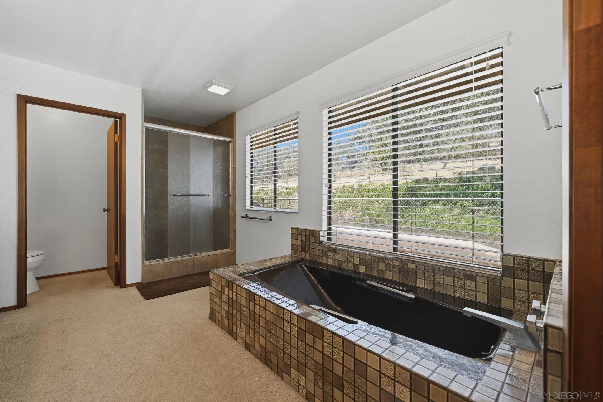 19525 Casner Road Ramona, CA 92065 - Photo 34 of 73 Primary Bathroom