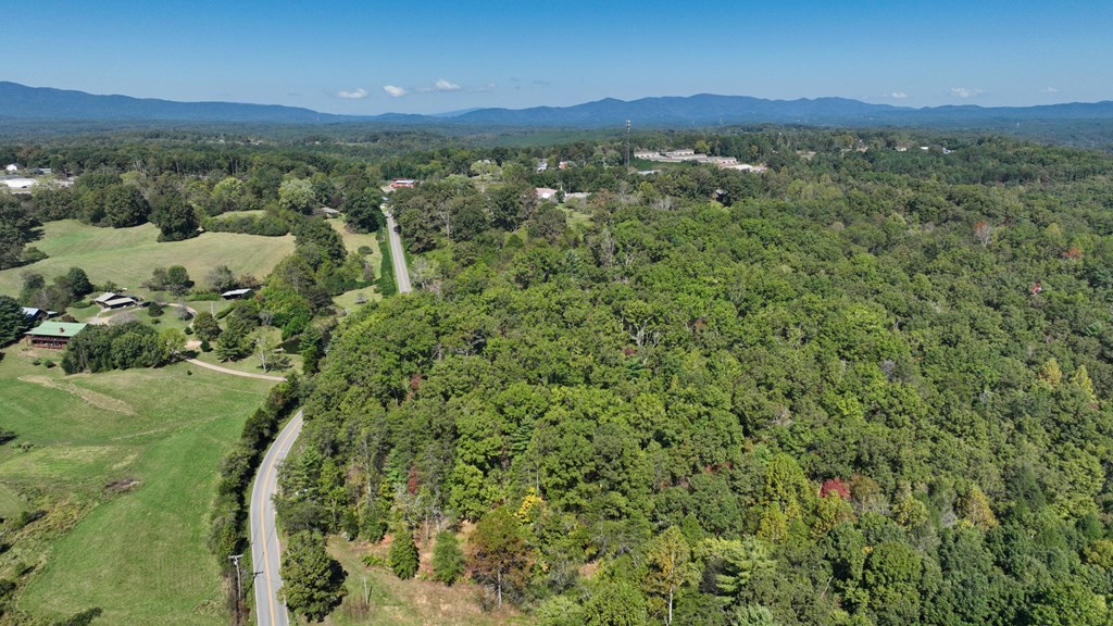 Lot 1-2 Timberlake Estates Blue Ridge, GA 30513 - Photo 11 of 20