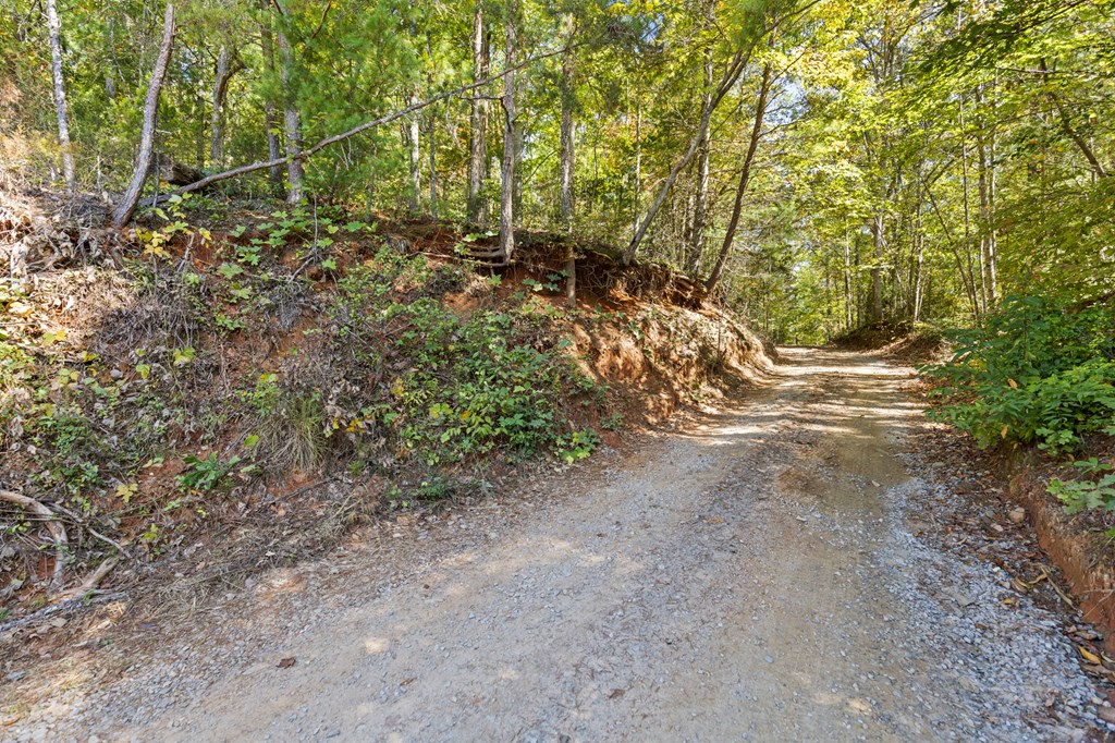 Lot 1-2 Timberlake Estates Blue Ridge, GA 30513 - Photo 13 of 20