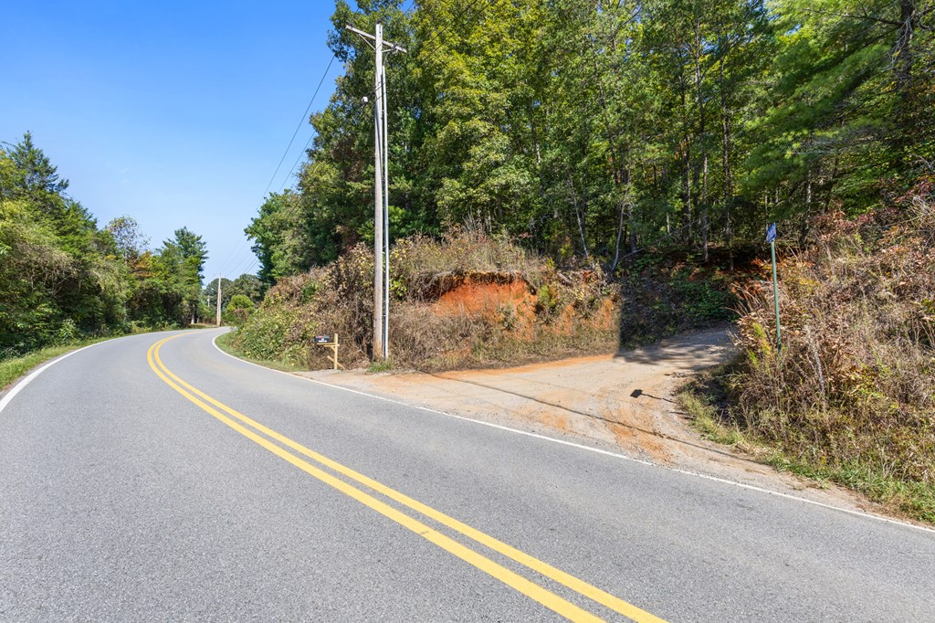 Lot 1-2 Timberlake Estates Blue Ridge, GA 30513 - Photo 14 of 20