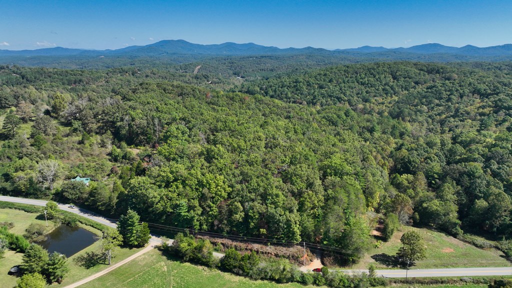 Lot 1-2 Timberlake Estates Blue Ridge, GA 30513 - Photo 17 of 20