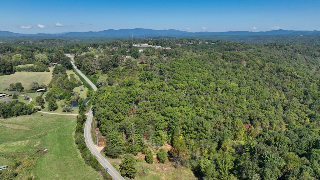 Lot 1-2 Timberlake Estates Blue Ridge, GA 30513 - Photo 18 of 20