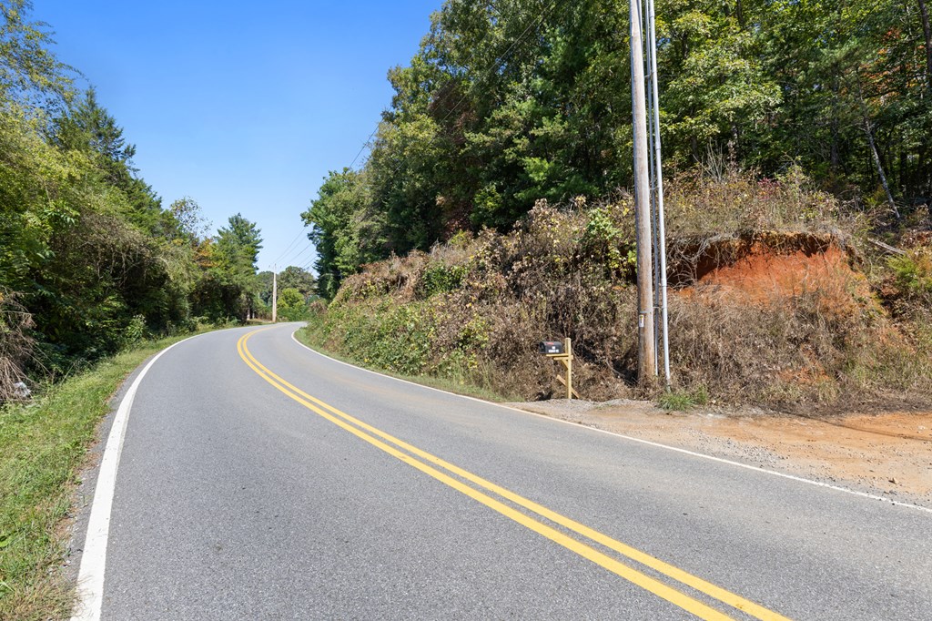 Lot 1-2 Timberlake Estates Blue Ridge, GA 30513 - Photo 20 of 20