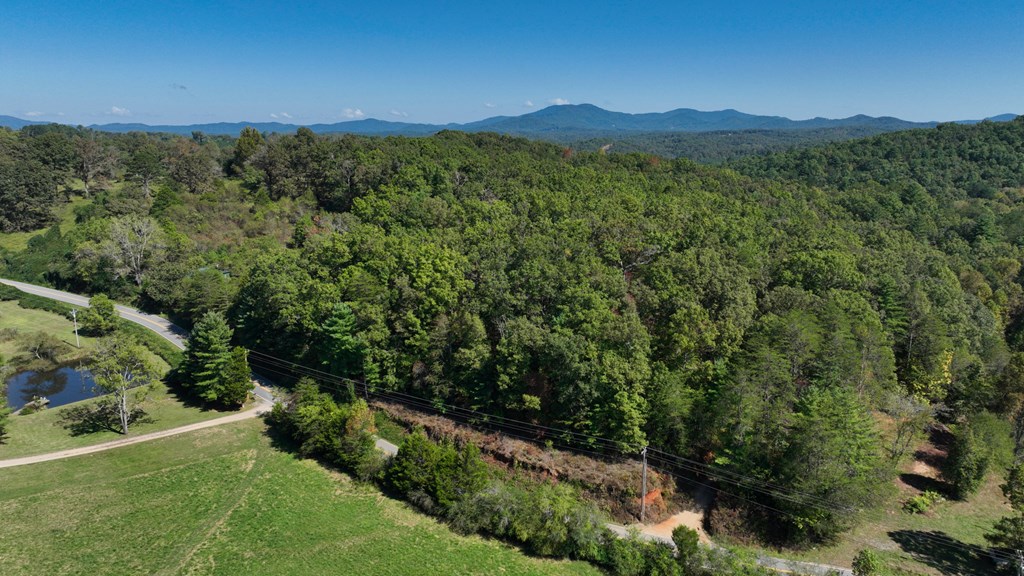 Lot 1-2 Timberlake Estates Blue Ridge, GA 30513 - Photo 2 of 20 Aerial View