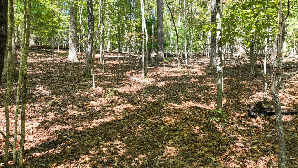 Lot 1-2 Timberlake Estates Blue Ridge, GA 30513 - Photo 3 of 20