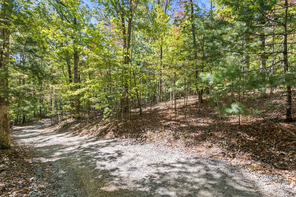 Lot 1-2 Timberlake Estates Blue Ridge, GA 30513 - Photo 6 of 20