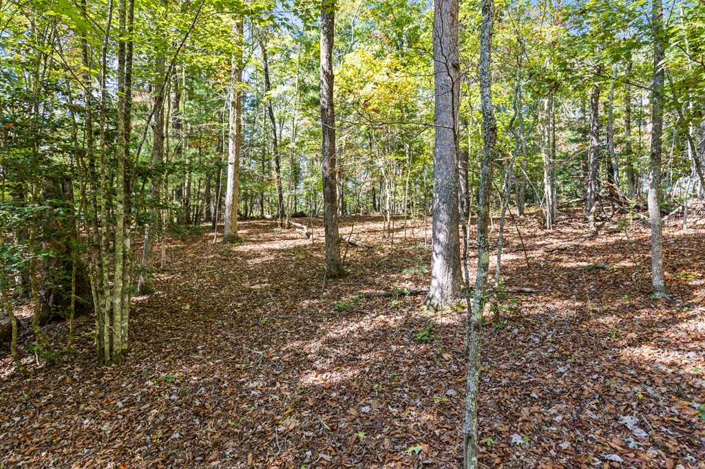 Lot 1-2 Timberlake Estates Blue Ridge, GA 30513 - Photo 9 of 20