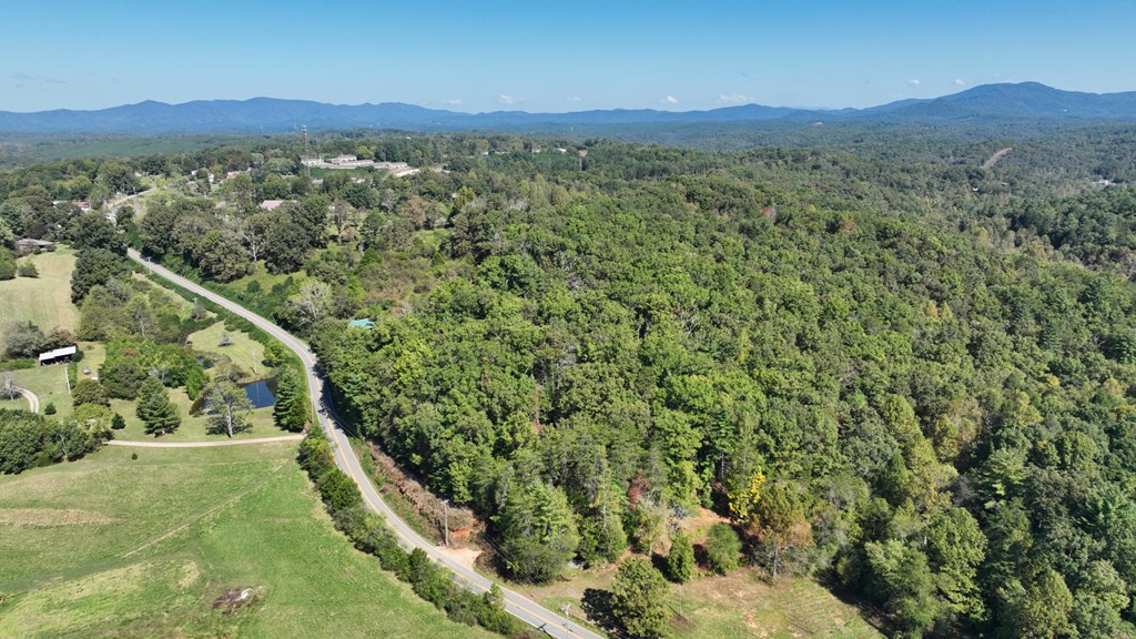 Lot 1-2 Timberlake Estates Blue Ridge, GA 30513 - Photo 10 of 20