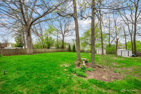 a view of a backyard with large trees