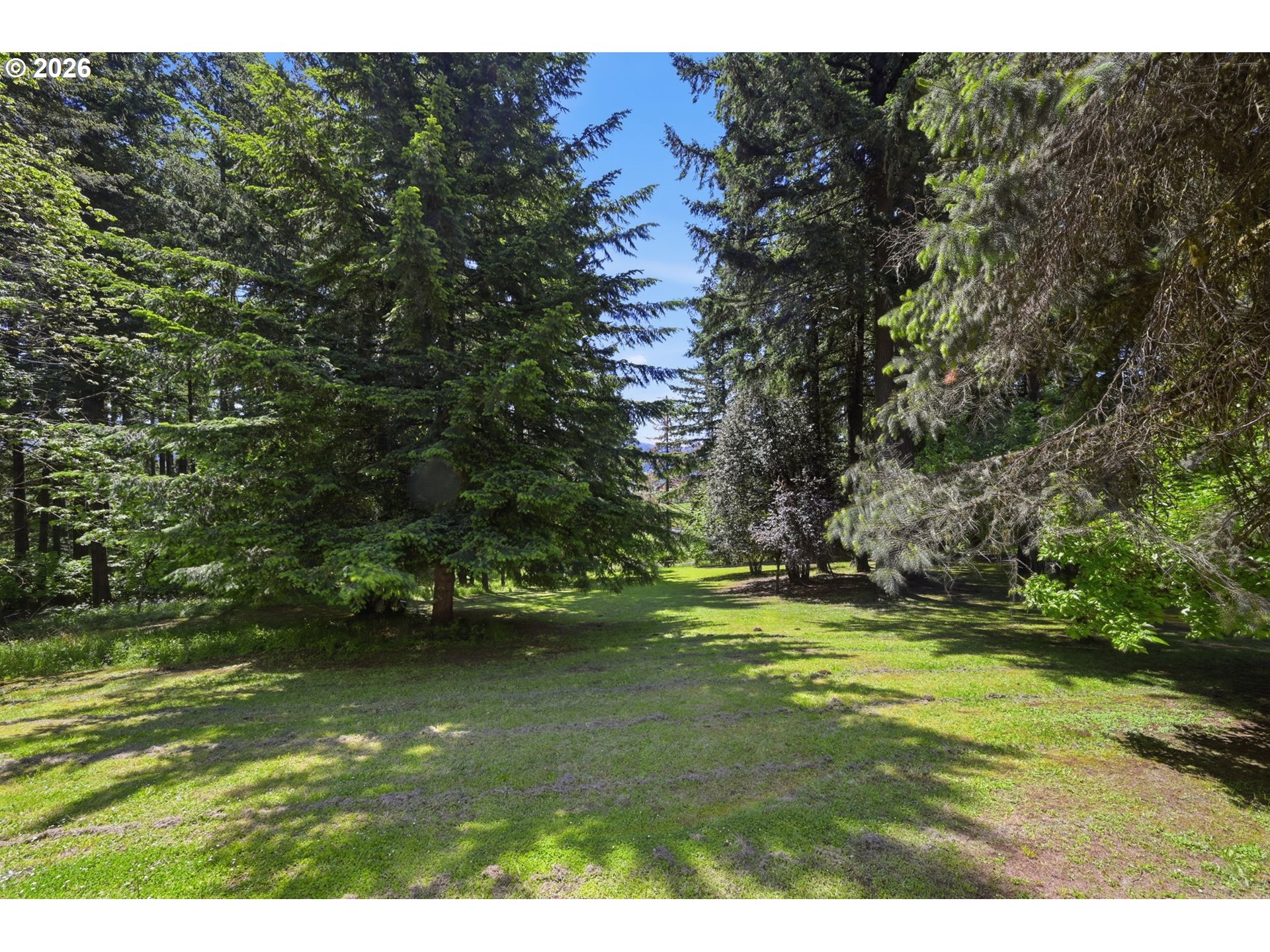 90966 Hill Road Springfield, OR 97478 - Photo 41 of 48 Acreage