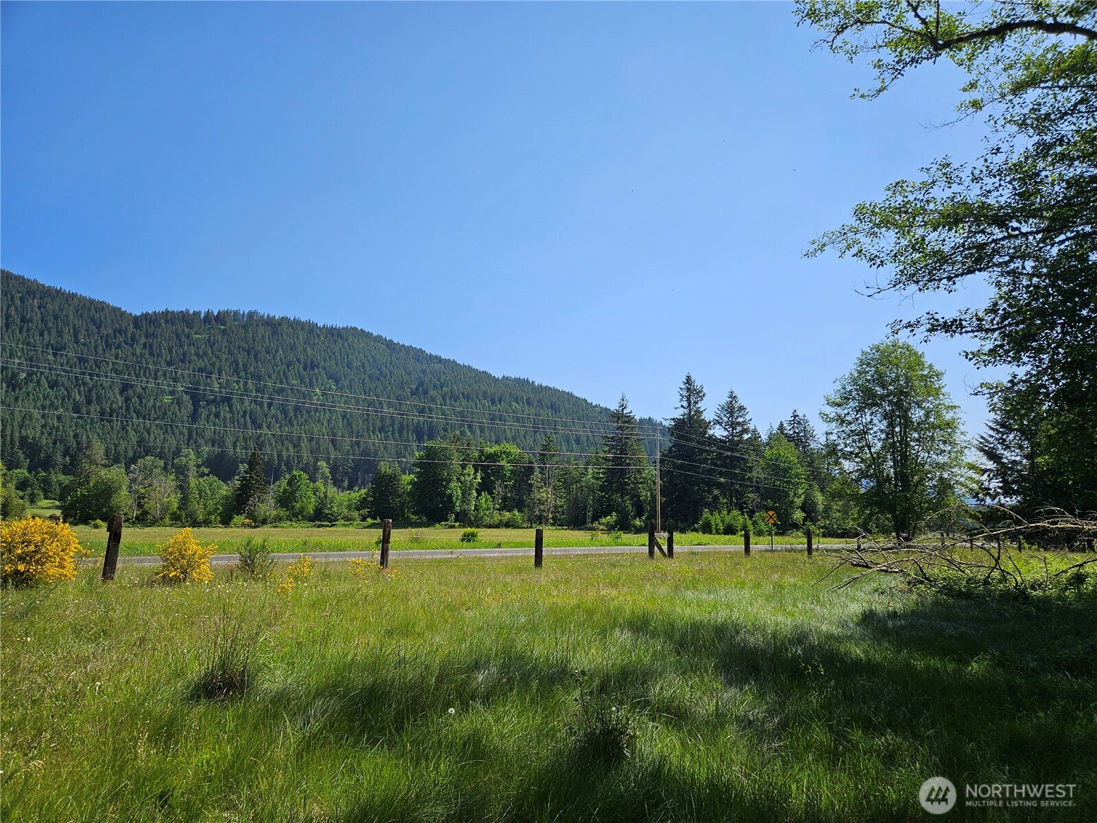 0 Park Junction Road East Elbe, WA 98330 - Photo 5 of 15