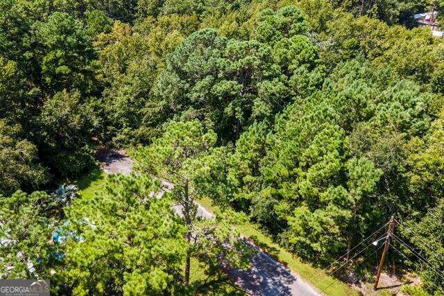 Lot 3 Dufour Rd Street St. Marys, GA 31558 - Photo 6 of 13