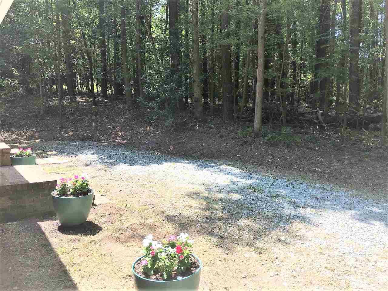 2705 Whitfield Road Chapel Hill, NC 27514 - Photo 14 of 15 a view of a yard with a tree