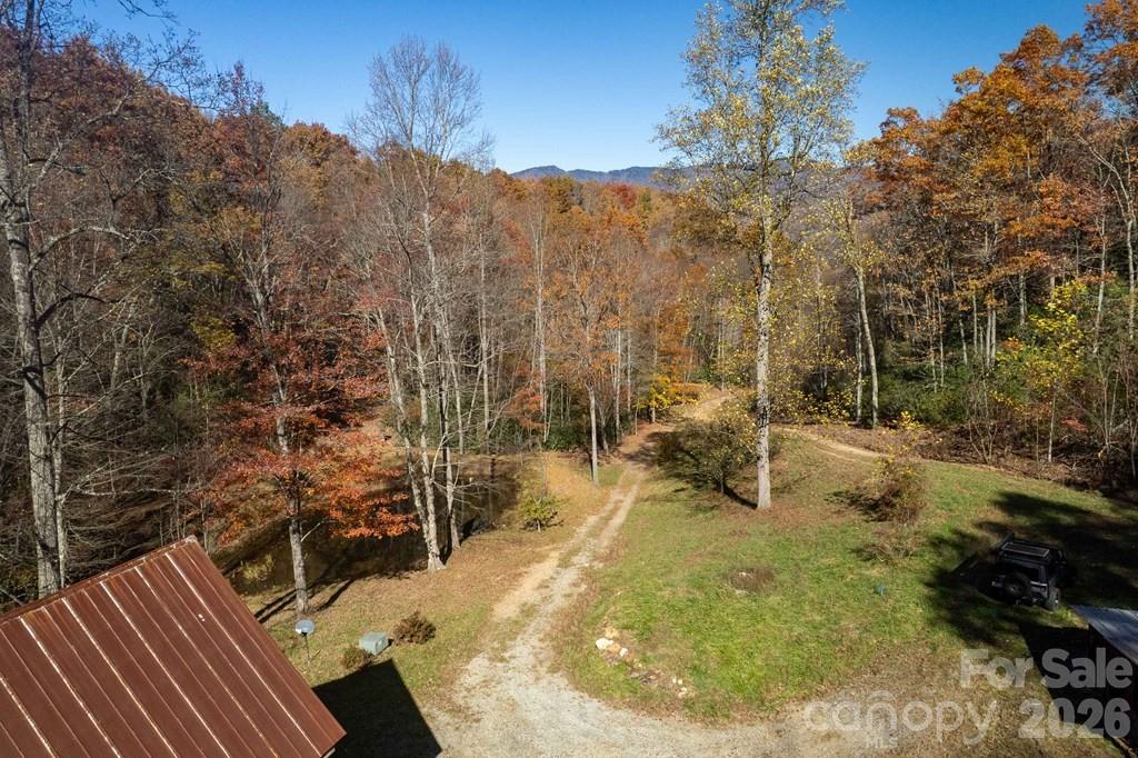 930 Copperhead Cove Road Sylva, NC 28779 - Photo 3 of 18 a view of outdoor space and garden