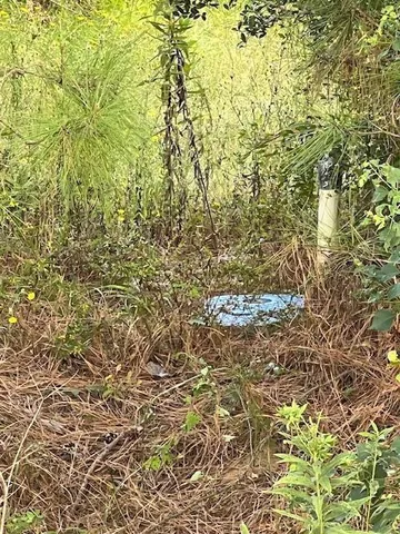 $125,000 | 0 Greentown Road, Deridder, LA 70634