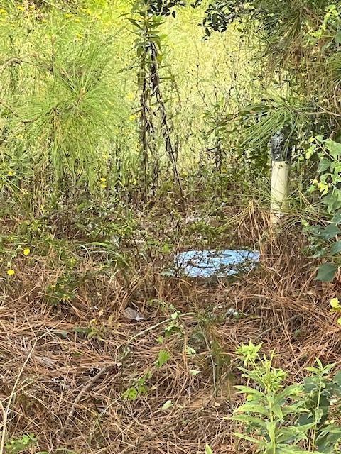 0 Greentown Road Deridder, LA 70634 - Photo 3 of 4