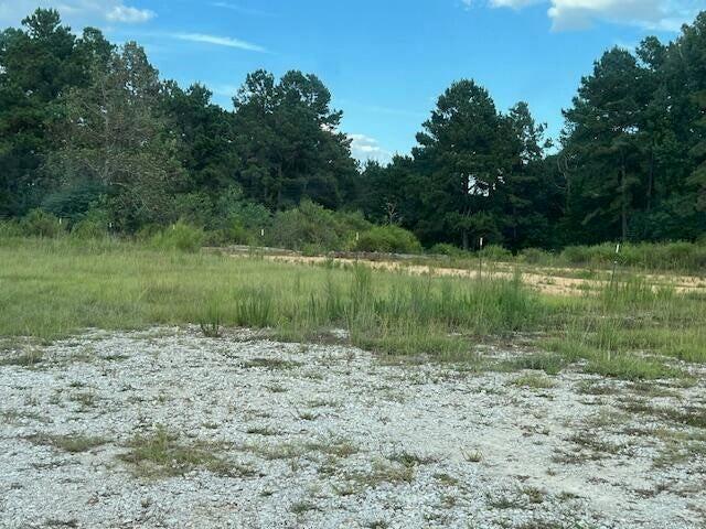 0 Greentown Road Deridder, LA 70634 - Photo 4 of 4