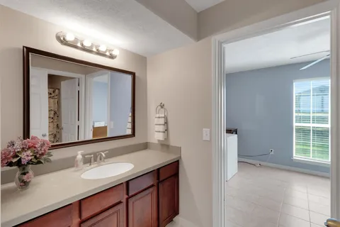 a bathroom with a sink and a mirror