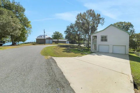 a view of a backyard with a large tree