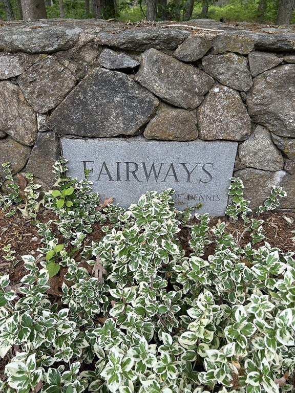 6 Match Point Dennis, MA 02638 - Photo 4 of 42 a view of a garden with a tree