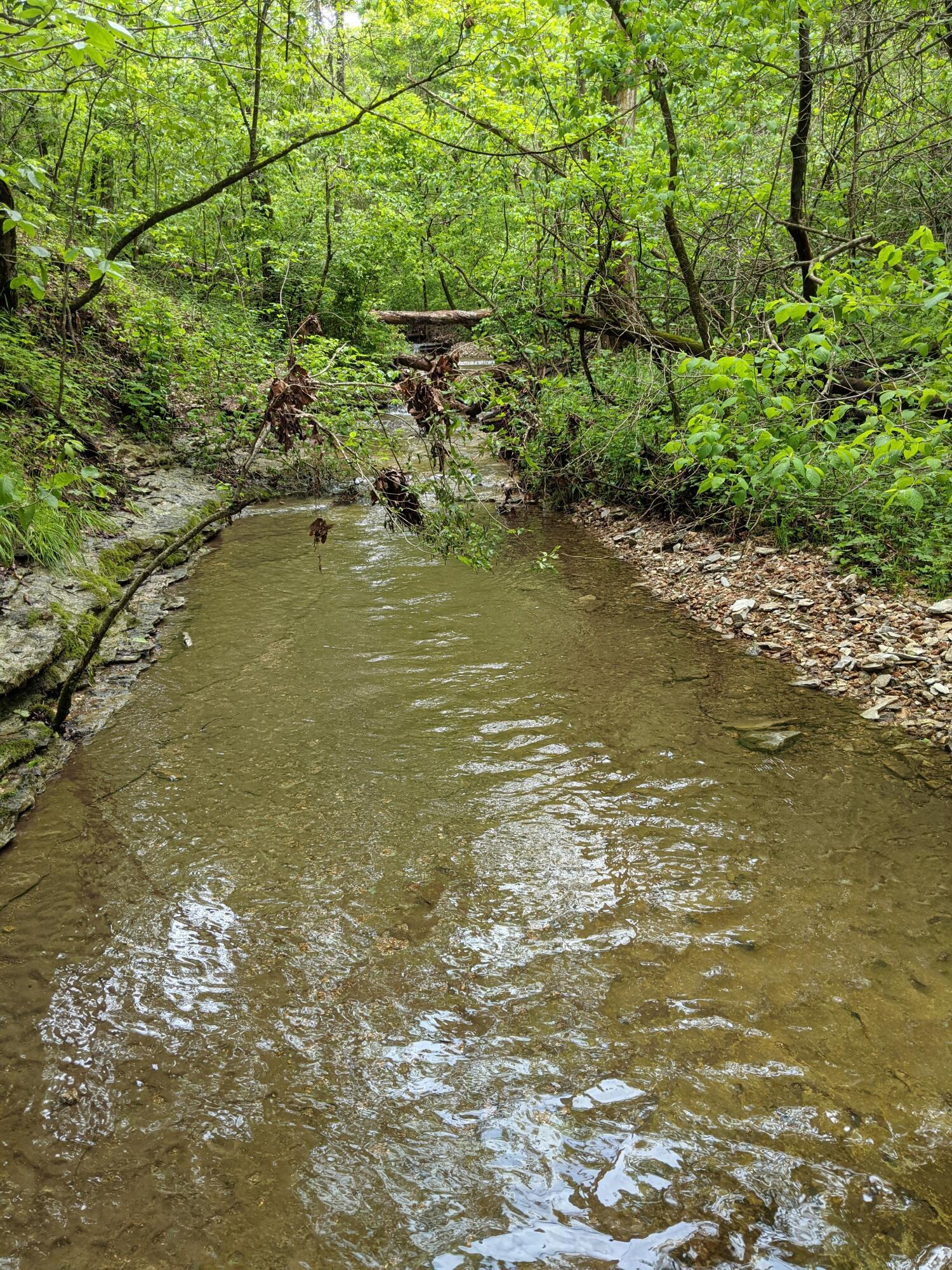 0 Coyote Ridge Road Cassville, MO 65625 - Photo 28 of 36 PXL_20210522_184005888.MP
