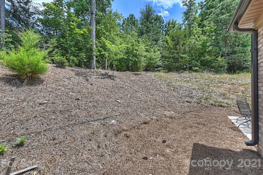 3002 Portico Place, Unit 38 Tega Cay, SC 29708 - Photo 37 of 37 Gallery Image 37