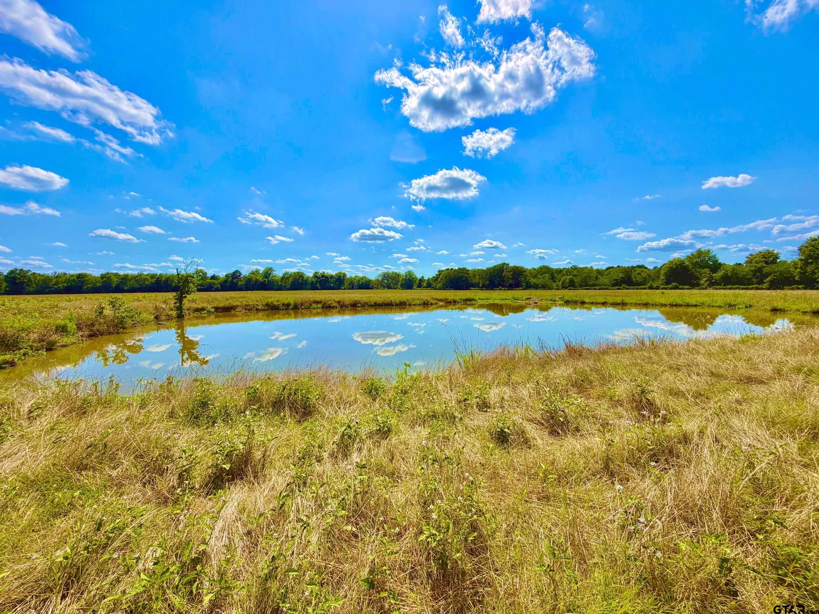 Tbd Cooper Settlement Road Crockett, TX 75835 - Photo 1 of 11
