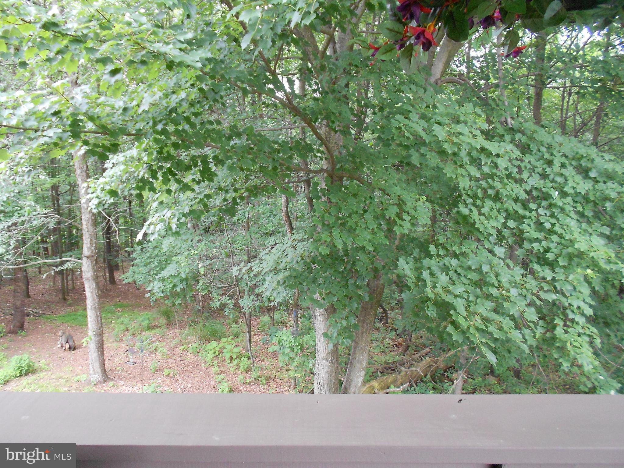 29 Ridge Avenue Carlisle, PA 17013 - Photo 31 of 37 Gallery Image 31