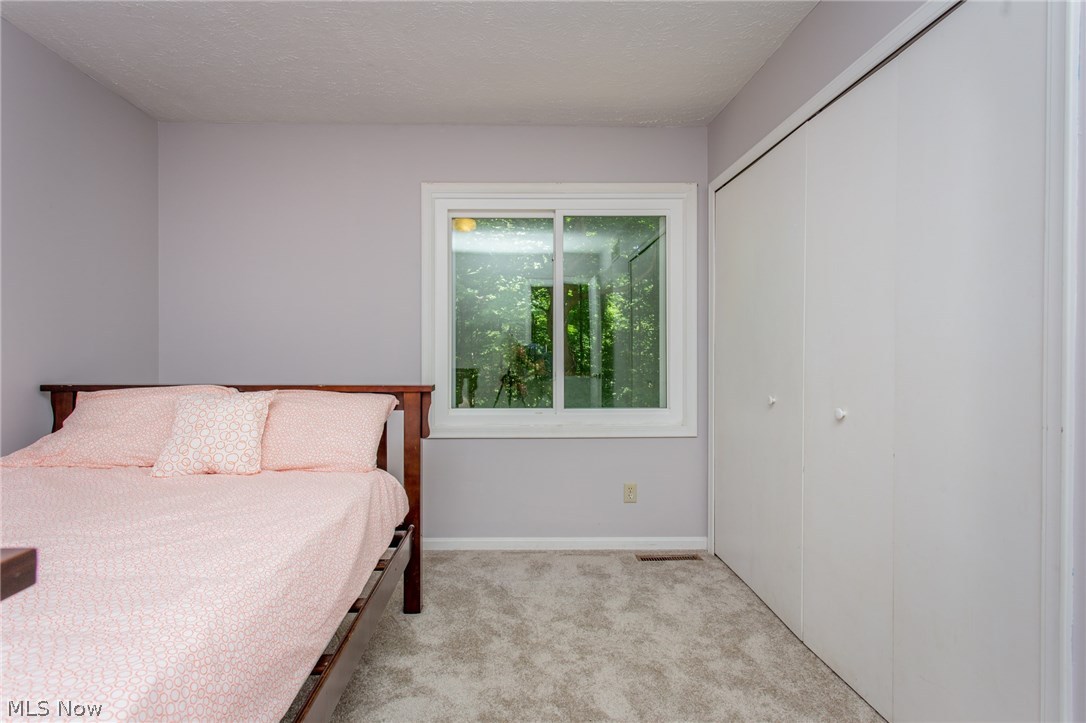 12427 Sperry Road Chesterland, OH 44026 - Photo 29 of 35 Bedroom Three