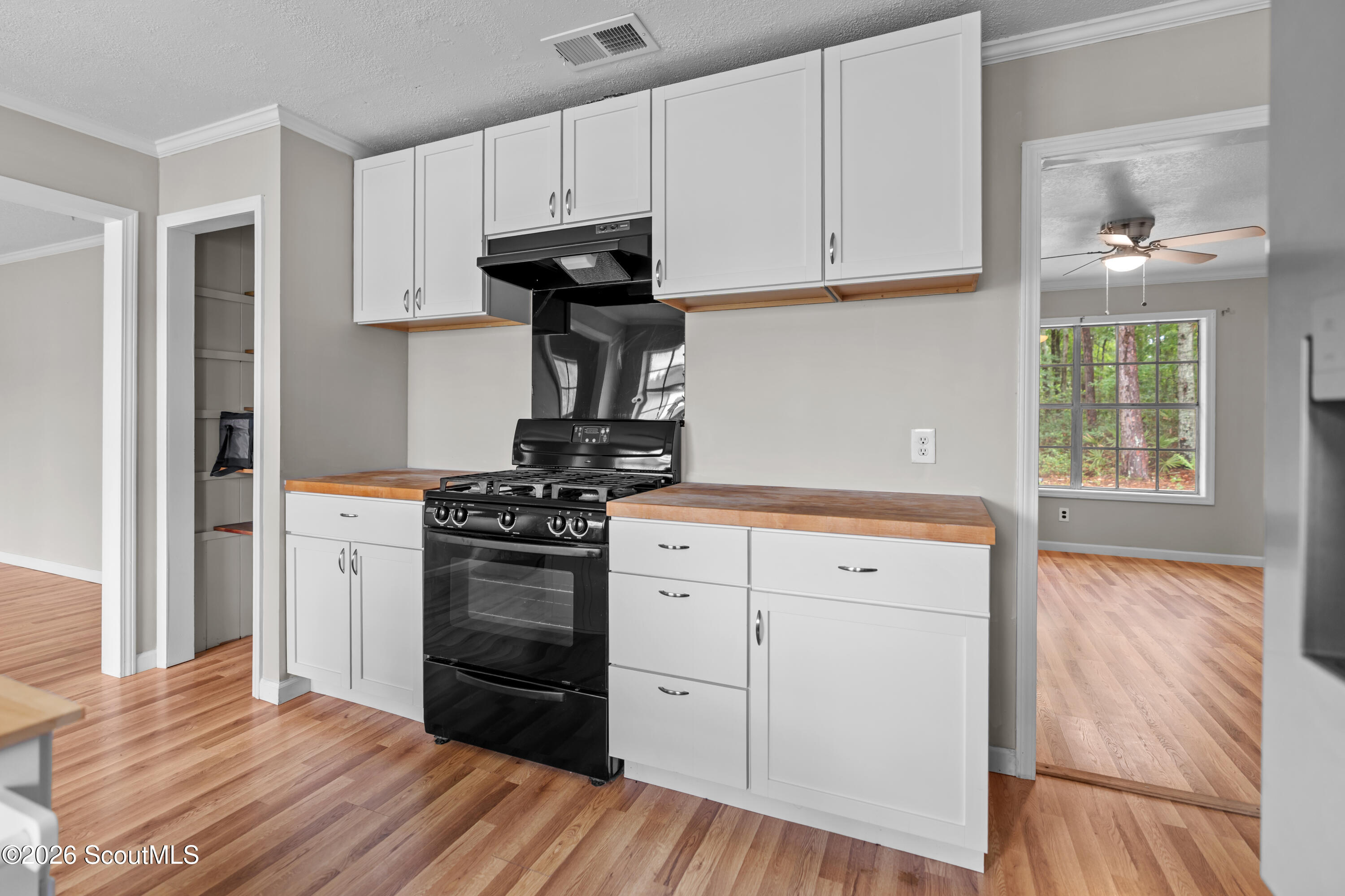 320 Brobston Street Baxley, GA 31513 - Photo 16 of 20 DSC01790