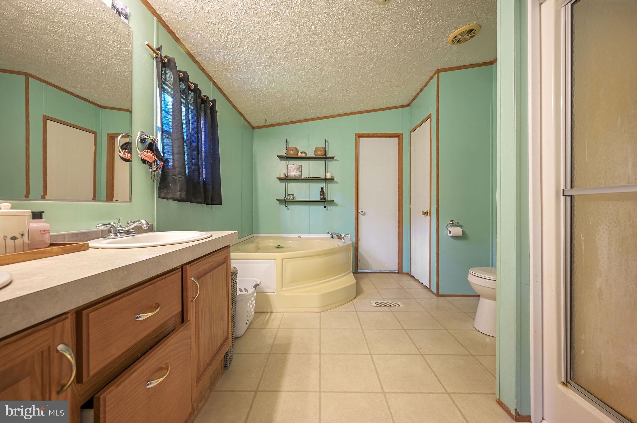 440 Indian Runner Road Felton, DE 19943 - Photo 31 of 50 a spacious bathroom with a granite countertop sink mirror and a bathtub