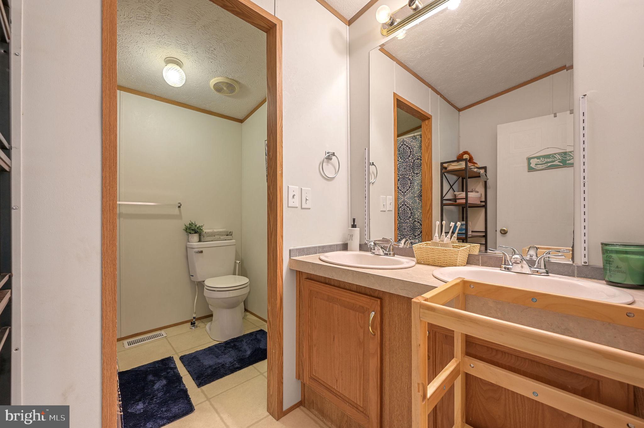 440 Indian Runner Road Felton, DE 19943 - Photo 37 of 50 a bathroom with a granite countertop sink a toilet and a mirror