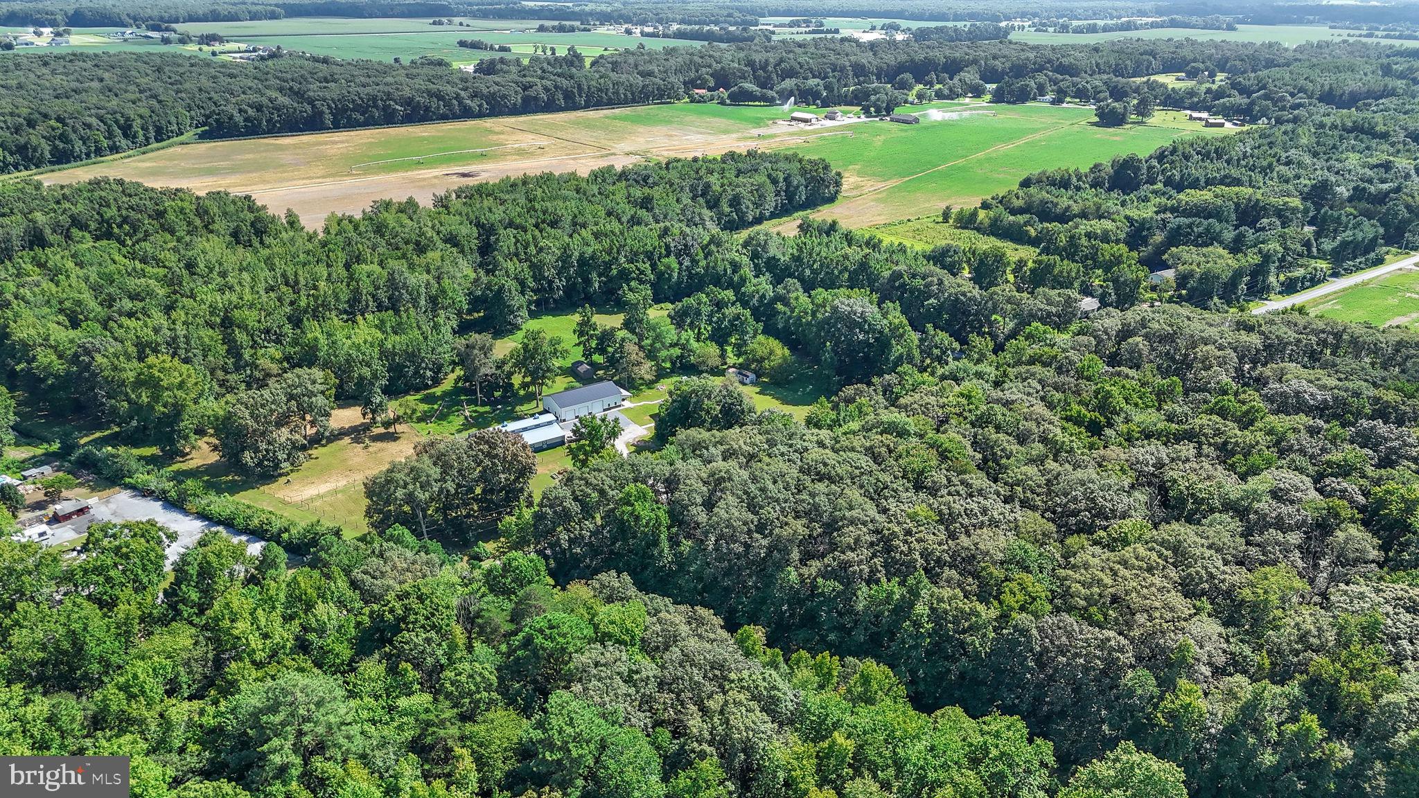 440 Indian Runner Road Felton, DE 19943 - Photo 40 of 50 a view of a garden with a lake view