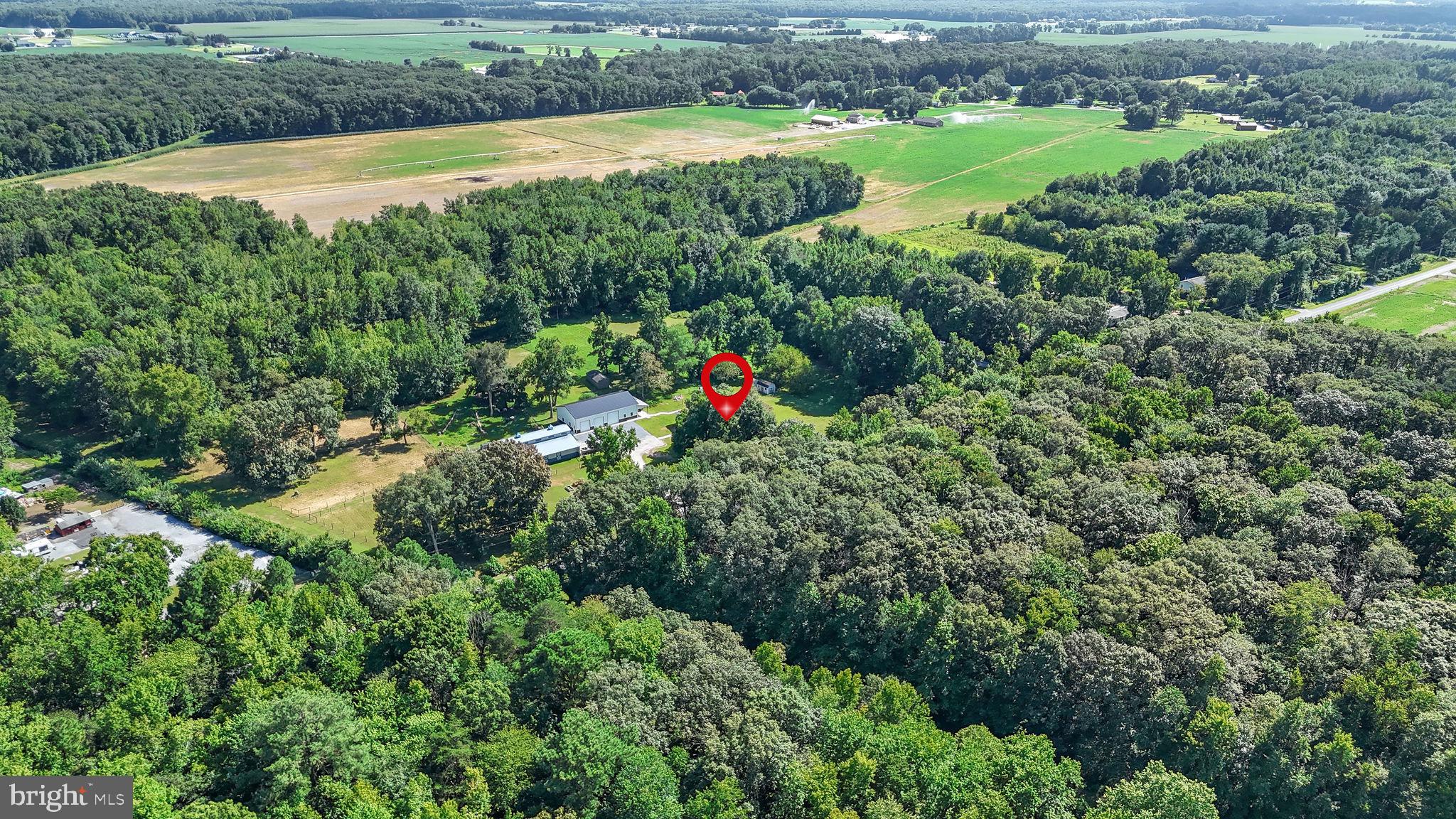 440 Indian Runner Road Felton, DE 19943 - Photo 41 of 50 a view of outdoor space and yard