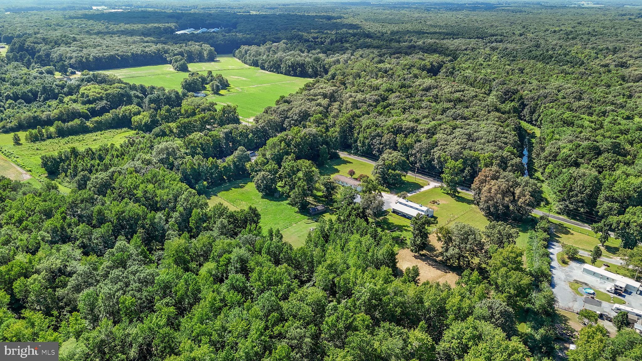 440 Indian Runner Road Felton, DE 19943 - Photo 45 of 50 an aerial view of residential houses with outdoor space and trees