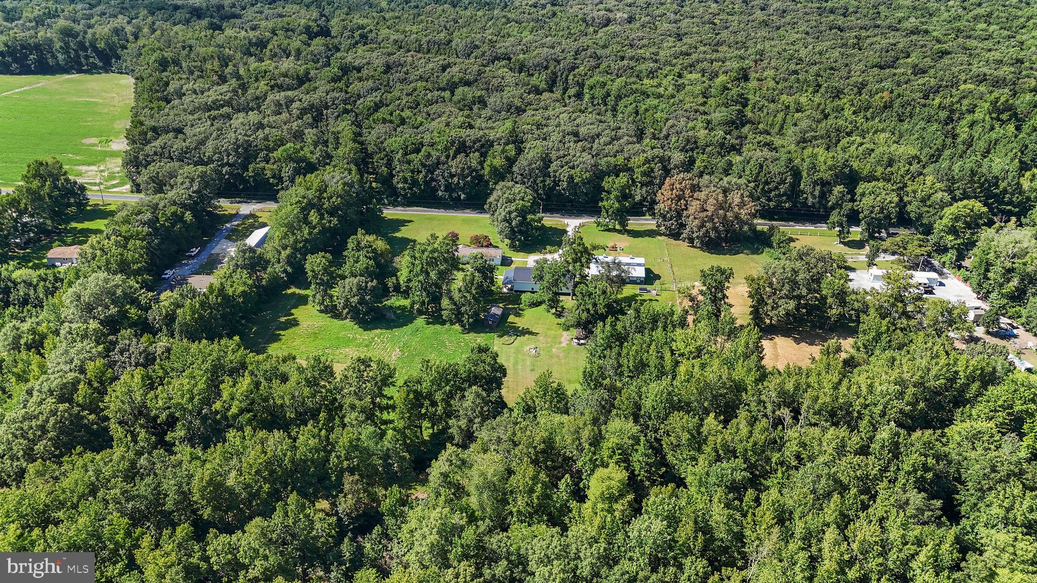 440 Indian Runner Road Felton, DE 19943 - Photo 47 of 50 a view of a lake with a park