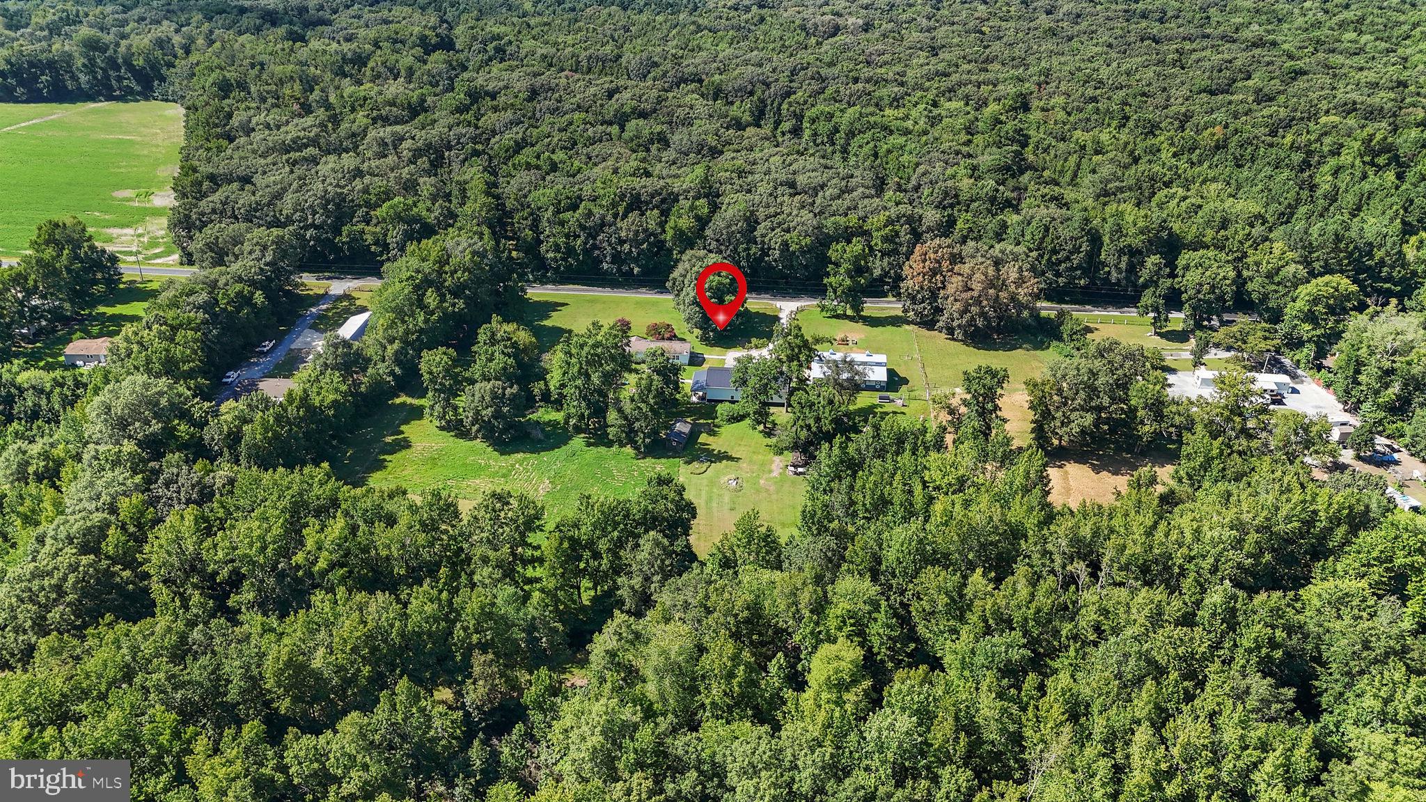 440 Indian Runner Road Felton, DE 19943 - Photo 48 of 50 a close up of a flower plants and large trees