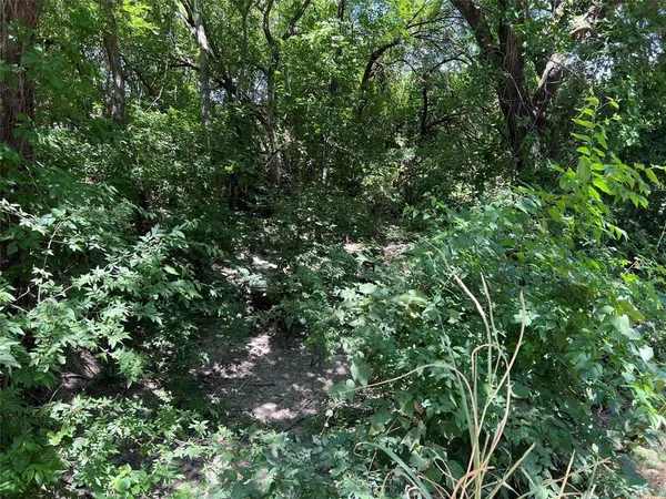 a view of a tree