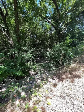 a view of a yard with a tree