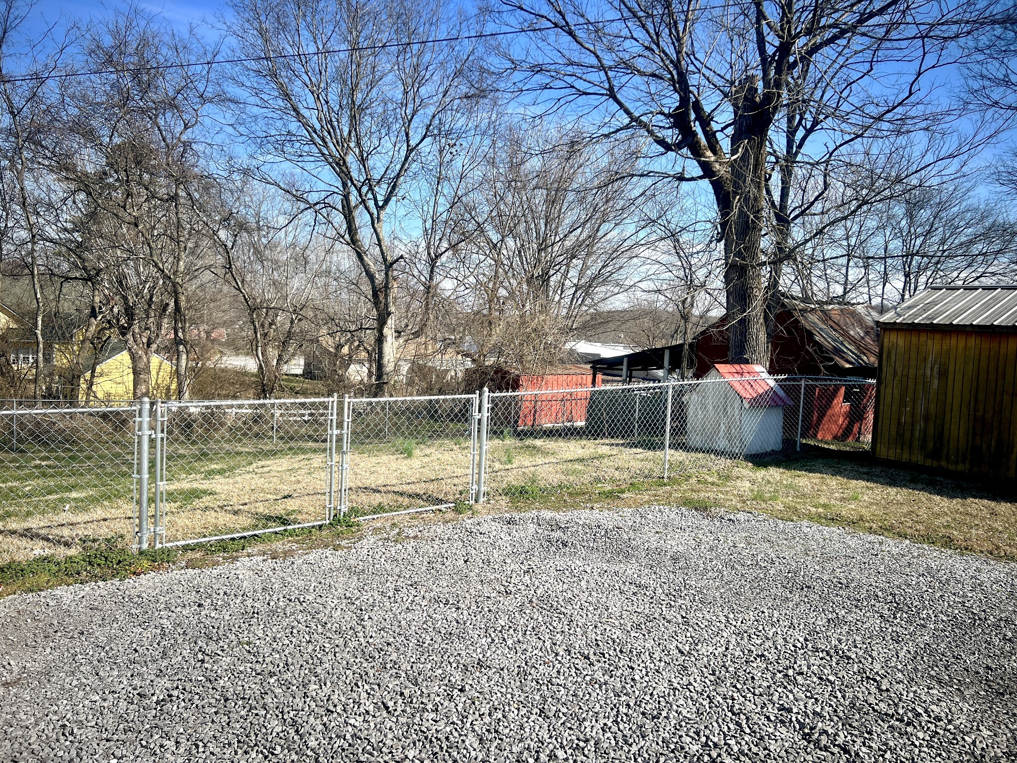 100 Locust Street Alexandria, TN 37012 - Photo 4 of 21 a view of a house with a backyard