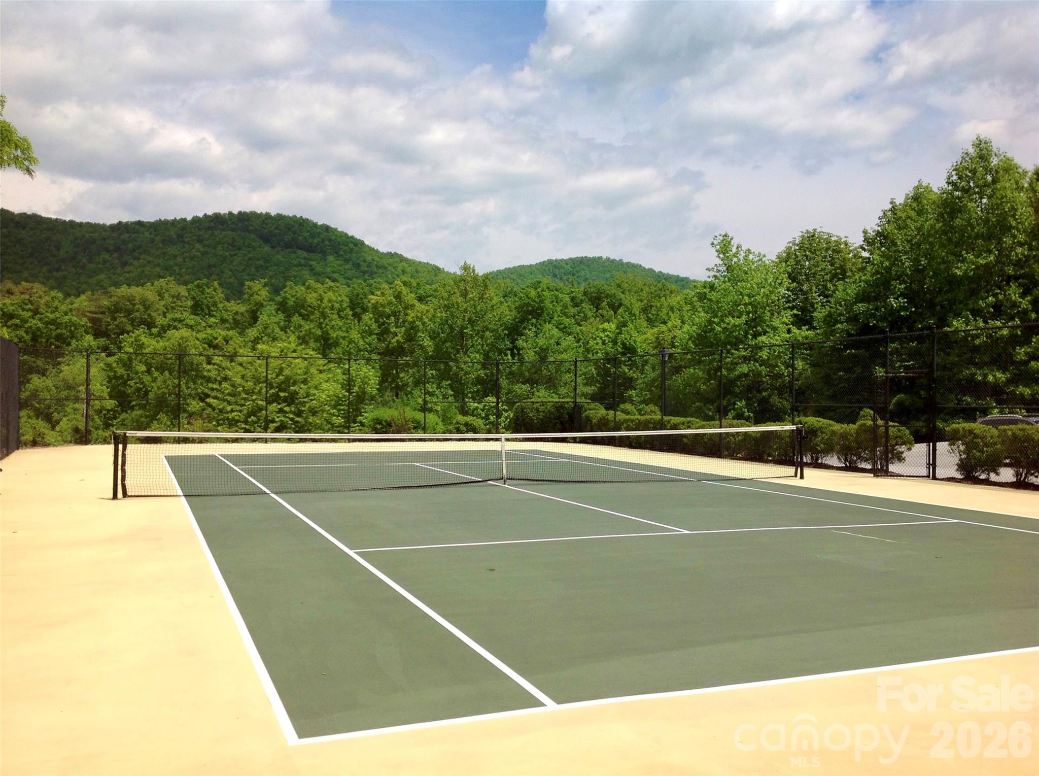732 Streamside Drive Arden, NC 28704 - Photo 46 of 46 a view of a tennis court