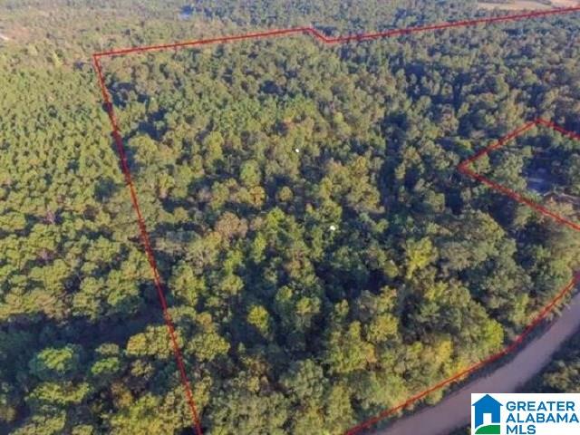 0 County Road 57, Unit 1 Verbena, AL 36091 - Photo 2 of 2